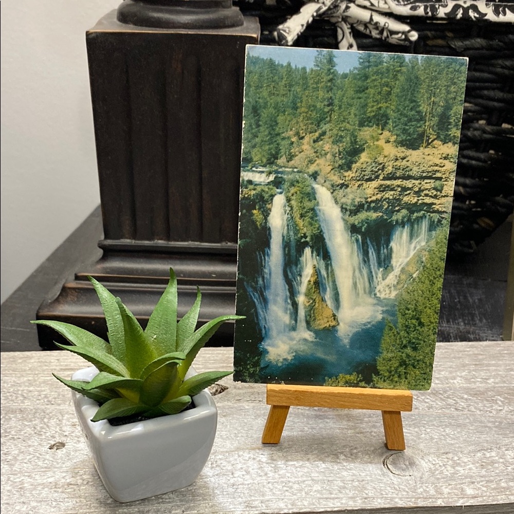 Vintage Burney Falls State Park, California Post Card!